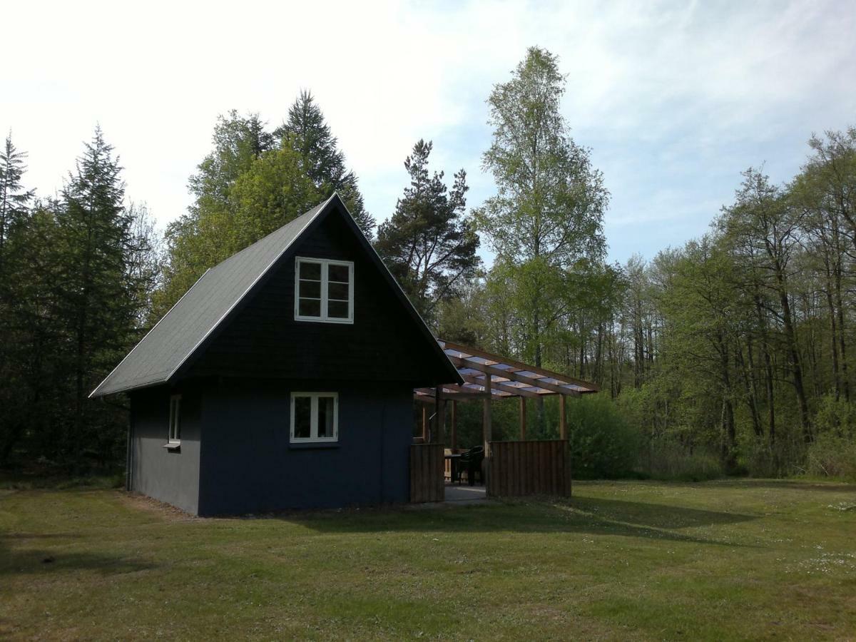Nix At Gammel Rye Villa Ry Kültér fotó
